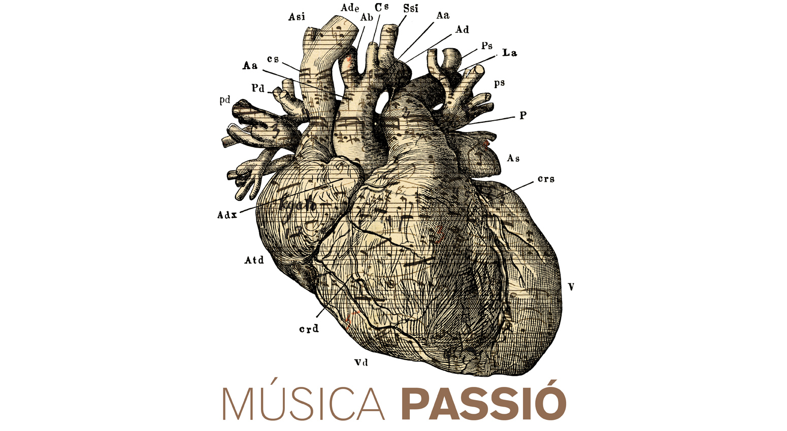 Detall disseny Musica Passio