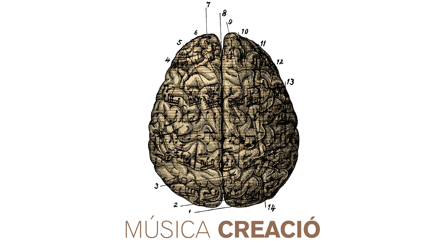 Disseny Musica Creacio