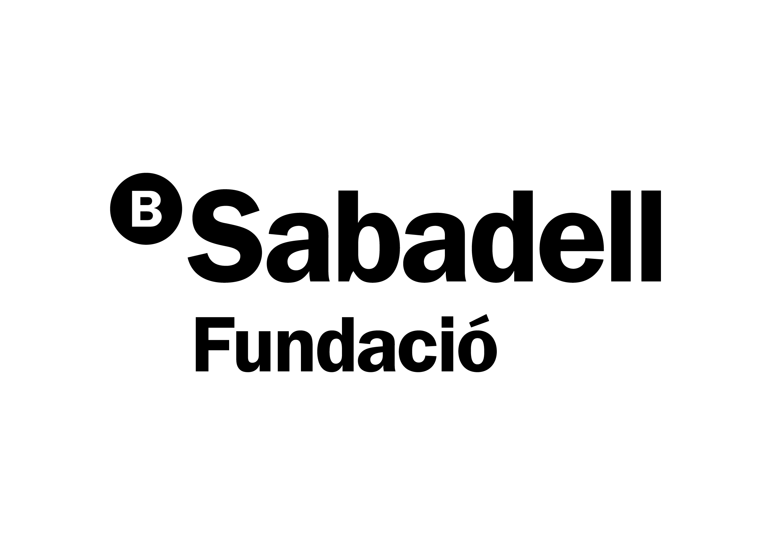 Bsfundacio Cat