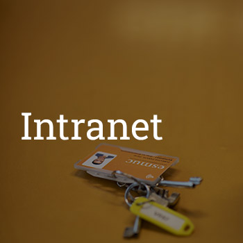 Intranet