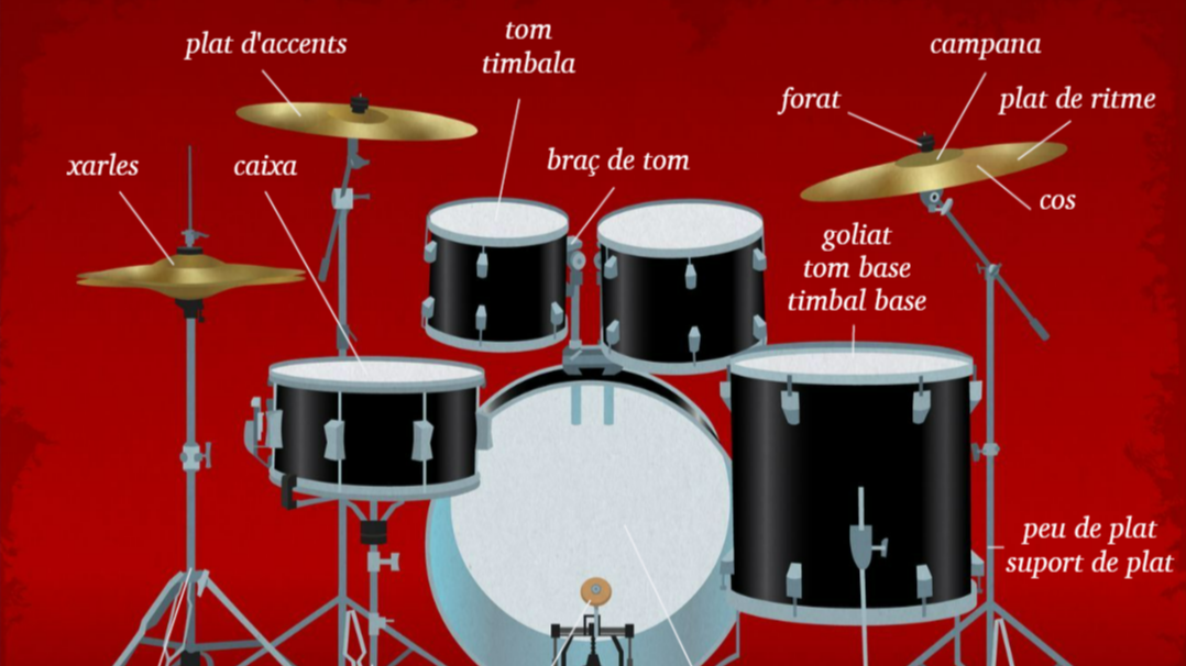 Termcat Infografia Bateria 1