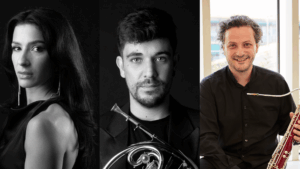 Disseny Sense Títol (15) Disseny Sense Títol (15)