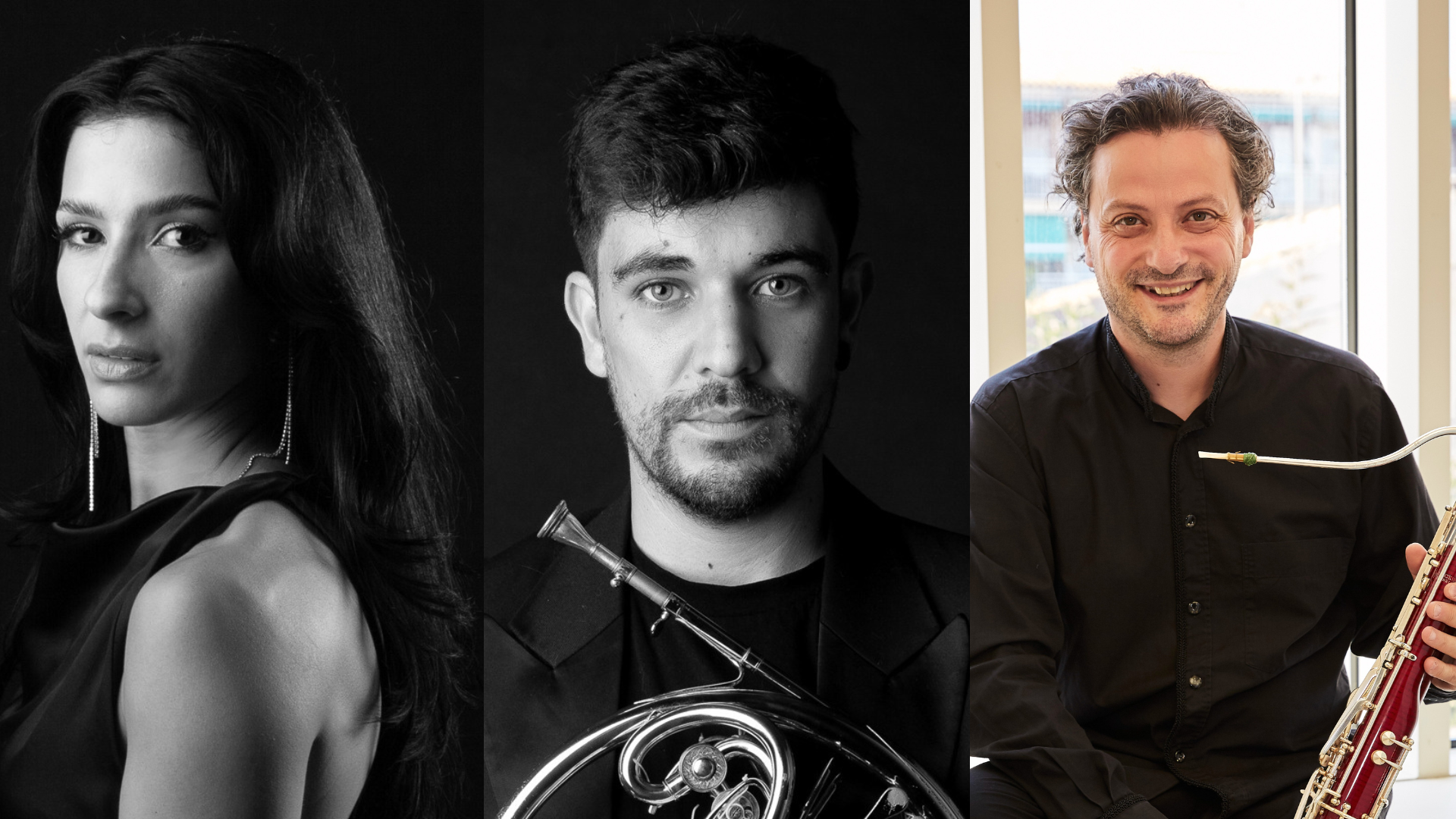 Disseny Sense Títol (15) Disseny Sense Títol (15)