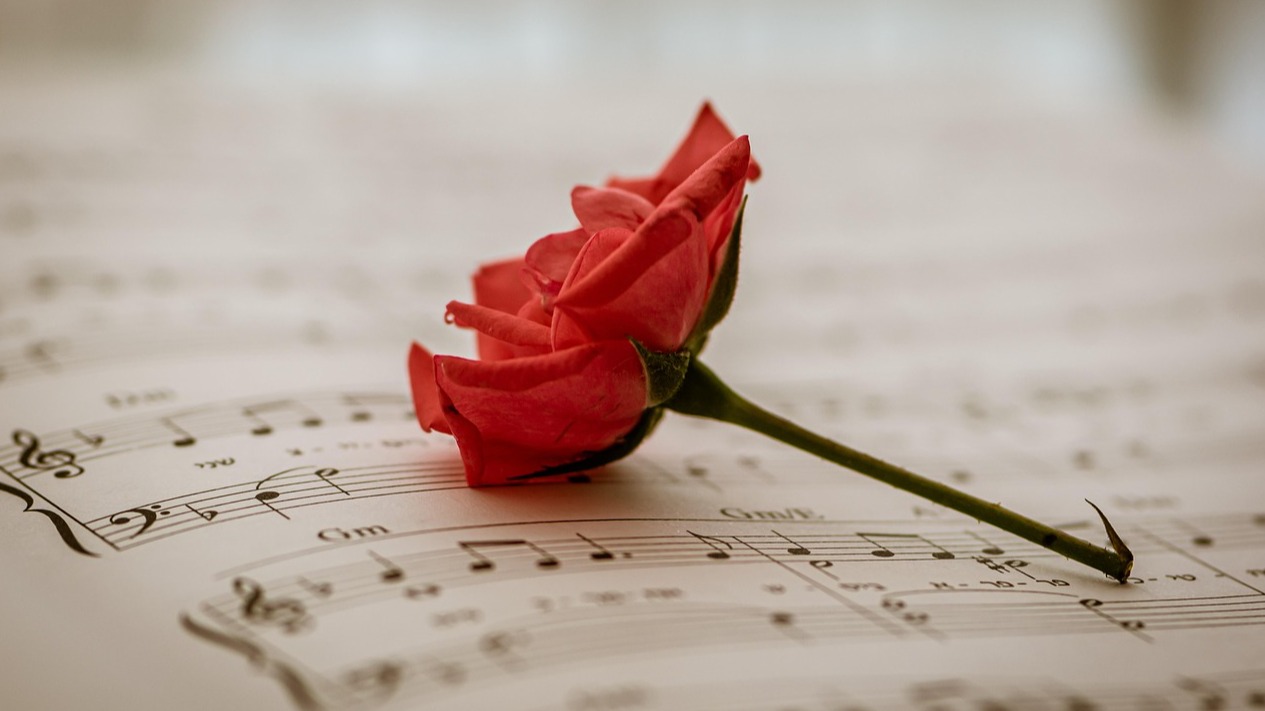 Flor I Llibre (1) Flor I Llibre (1)