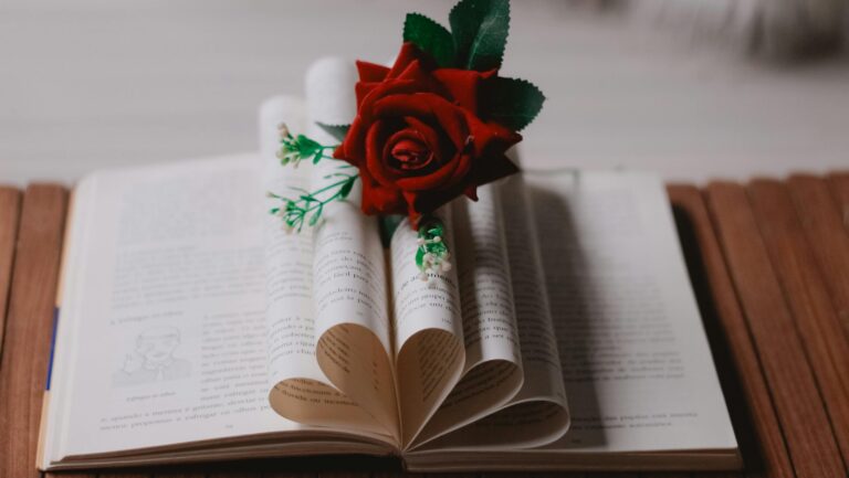 Pexels Wanas Rosa 1295016 20105584 Pexels Wanas Rosa 1295016 20105584